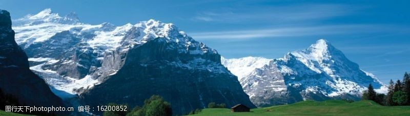 瑞士风光雪山和绿草地图片