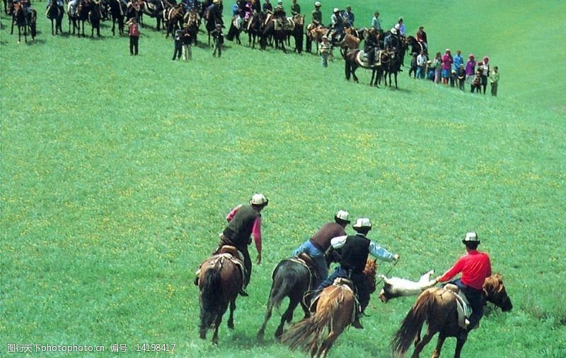新疆风景叼羊比赛图片