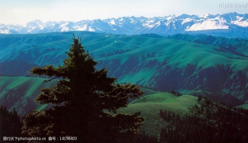 新疆风景天山山脉图片
